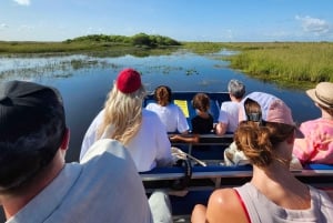 Excursão ecológica de aerobarco pelos Everglades em tour em pequenos grupos e transporte de primeira