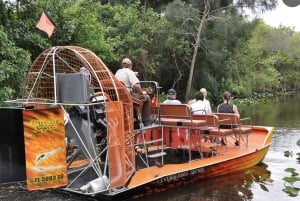 Airboat-tur i Everglades och guidad vandring