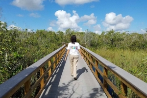 Paseo en hidrodeslizador por los Everglades y caminata guiada