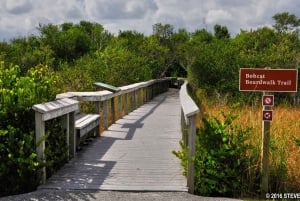 Everglades Airboat-Fahrt & geführte Wanderung