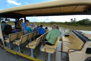 Excursion en canot pneumatique et en tramway dans les Everglades