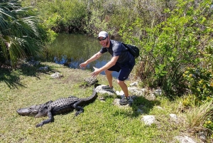 Paseo en hidrodeslizador y tranvía por los Everglades