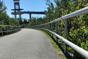 Paseo en hidrodeslizador y tranvía por los Everglades