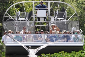 Passeio de aerobarco e bonde em Everglades