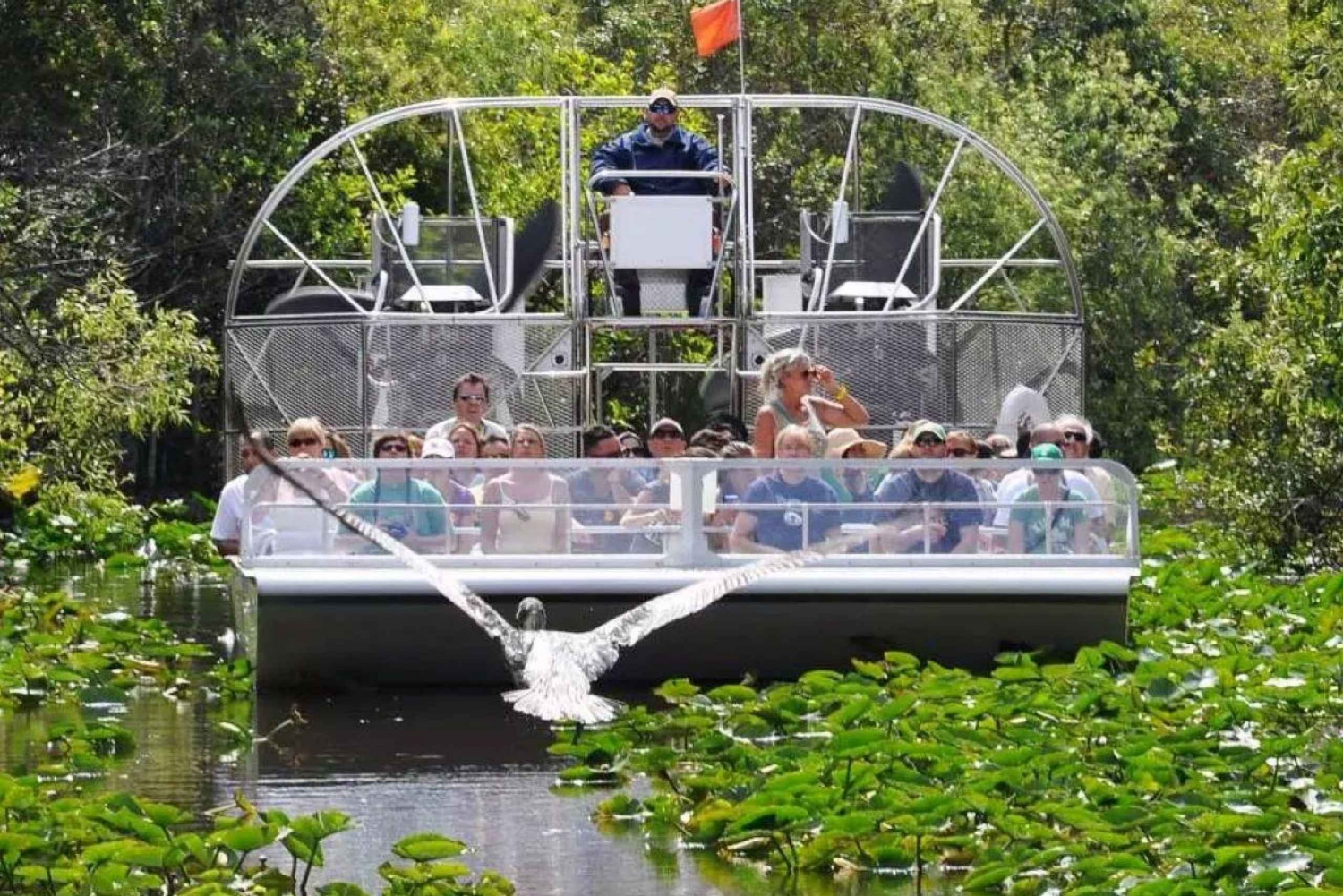 Paseos en hidrodeslizador por los Everglades