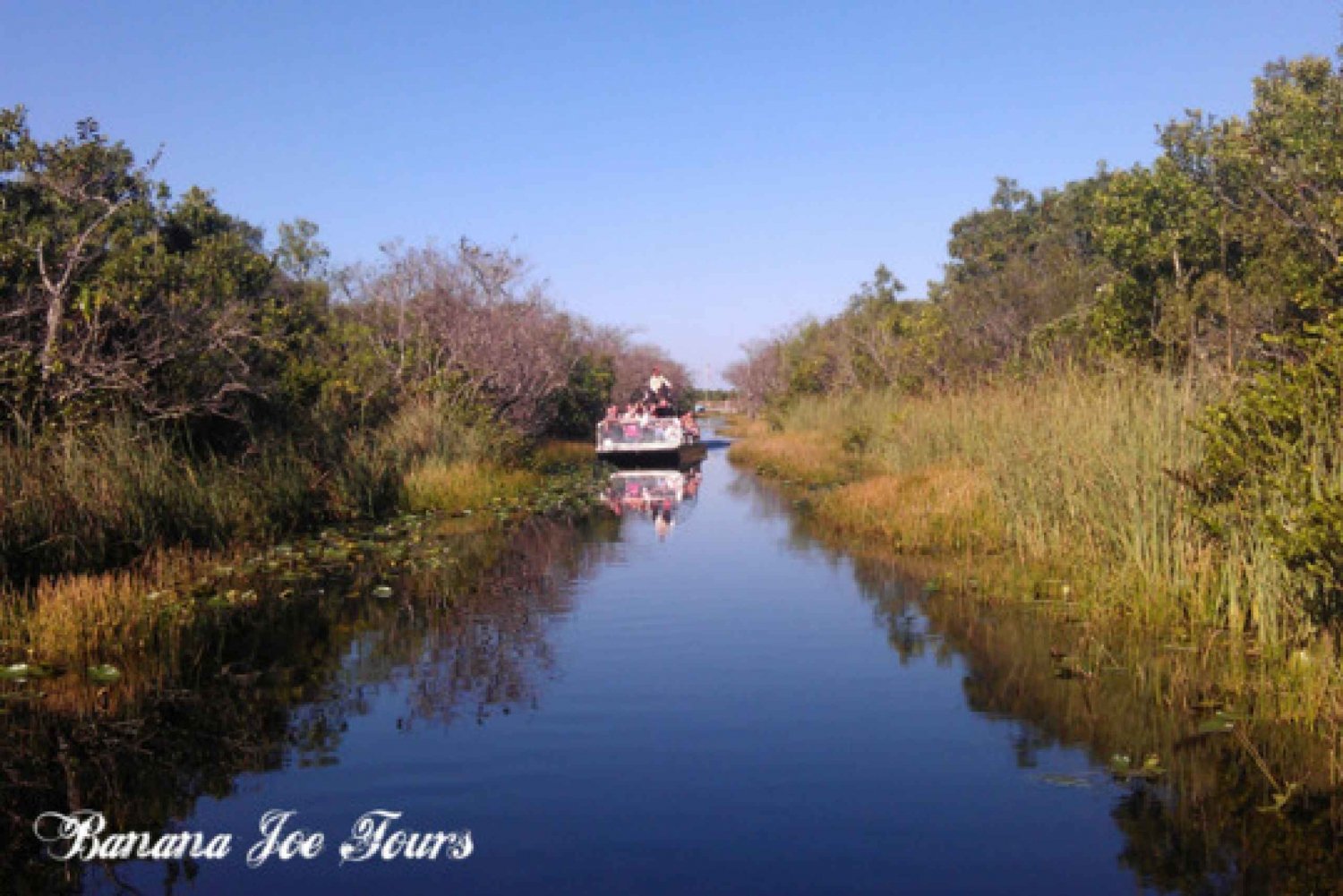 Everglades and Miami: 5-Hour Shore Excursion