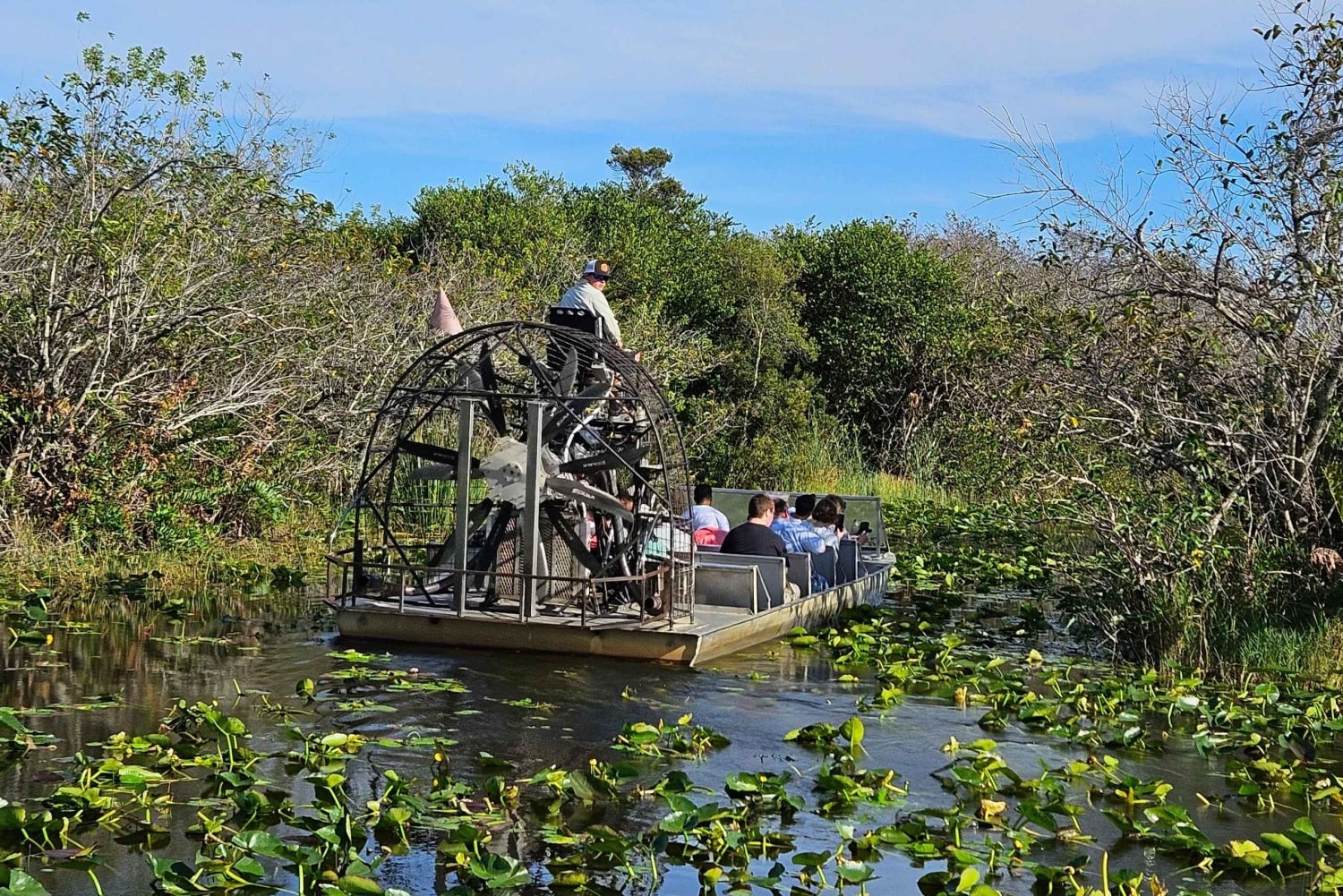 Everglades: tour in barca con trasporto e ingresso inclusi