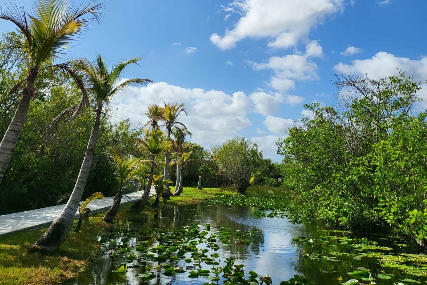 Everglades: tour in barca con trasporto e ingresso inclusi