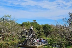 Tour en bateau des Everglades avec transport et entrée inclus
