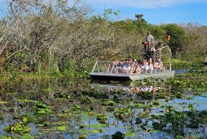 Everglades: omvisning med båt med transport og inngang inkludert