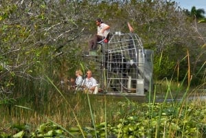Passeio de barco pelo Everglades com transporte e entrada incluídos