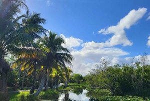 Båttur i Everglades med transport og inngang inkludert