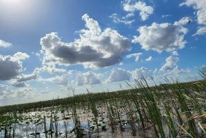 Evergladesin veneretki, johon sisältyy kuljetus ja sisäänpääsy