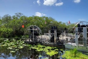 Båttur i Everglades med transport og inngang inkludert