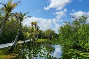 Everglades: tour in barca con trasporto e ingresso inclusi