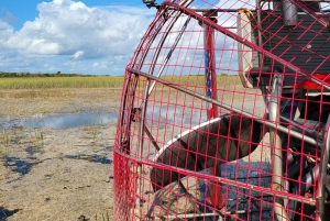 Everglades: tour in barca con trasporto e ingresso inclusi