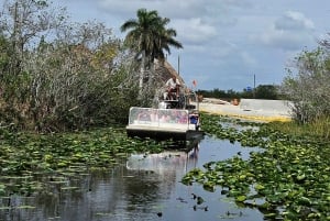 Everglades: tour in barca con trasporto e ingresso inclusi
