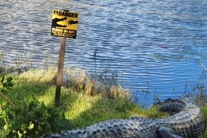 Everglades: tour in barca con trasporto e ingresso inclusi