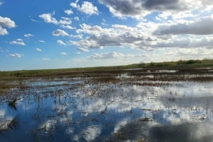 Everglades: tour in barca con trasporto e ingresso inclusi