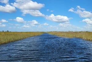 Everglades: tour in barca con trasporto e ingresso inclusi