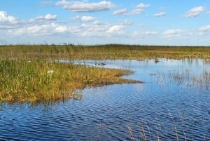 Everglades: tour in barca con trasporto e ingresso inclusi