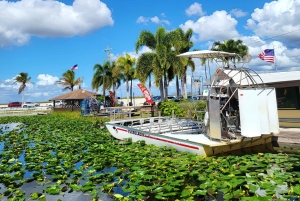 Everglades: tour in barca con trasporto e ingresso inclusi