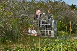 Everglades: tour in barca con trasporto e ingresso inclusi
