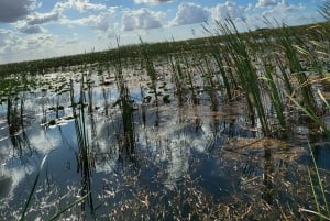 Everglades: tour in barca con trasporto e ingresso inclusi
