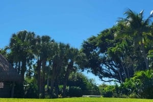 Everglades: tour in barca con trasporto e ingresso inclusi