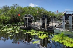 Everglades: tour in barca con trasporto e ingresso inclusi