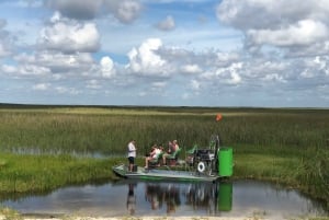 Everglades: Miami Wildlife Airboat Tour Privado Crepuscular