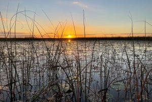 Everglades: Miami Wildlife Airboat Tour Privado Crepuscular