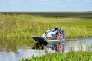 Everglades: Miami Twilight River of Grass Small Airboat Tour