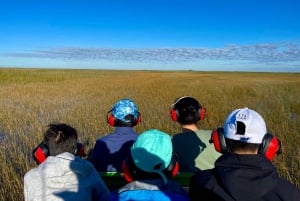 Everglades: Miami Twilight River of Grass Small Airboat Tour