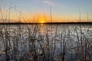 Everglades: Miami Twilight River of Grass Small Airboat Tour