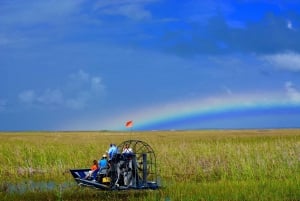 Everglades: Miami Twilight River of Grass Small Airboat Tour