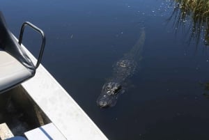 Everglades National Park: Airboat Tour and Wildlife Show