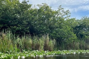 Everglades: on Flat Propelled Boat with Transportation