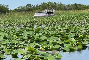 Everglades: on Flat Propelled Boat with Transportation