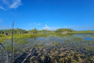 Everglades: on Flat Propelled Boat with Transportation