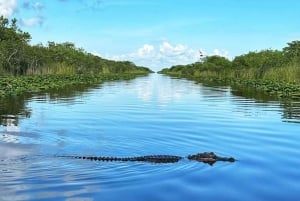 Everglades: on Flat Propelled Boat with Transportation