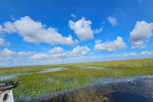 Everglades: on Flat Propelled Boat with Transportation