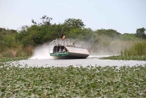Everglades: auf flachem Motorboot mit Transport