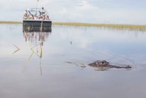 Everglades: pacote de aventura de aerobarco Sawgrass Park