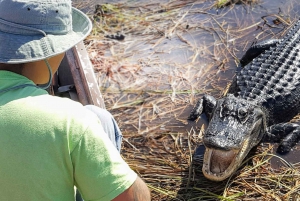 Everglades: Sawgrass Park Airboat Package