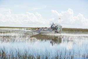 Everglades: Sawgrass Park Day Time Airboat Tour & Exhibits