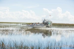Everglades: Sawgrass Park Airboat-Tour am Tag & Ausstellung