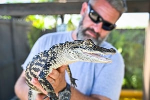 Everglades: hidrodeslizador y exposiciones en Sawgrass Park