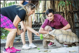 Everglades: Sawgrass Park Reptile Exhibit Private Tour