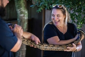 Everglades: Sawgrass Parkin matelijanäyttelyn yksityinen kiertue